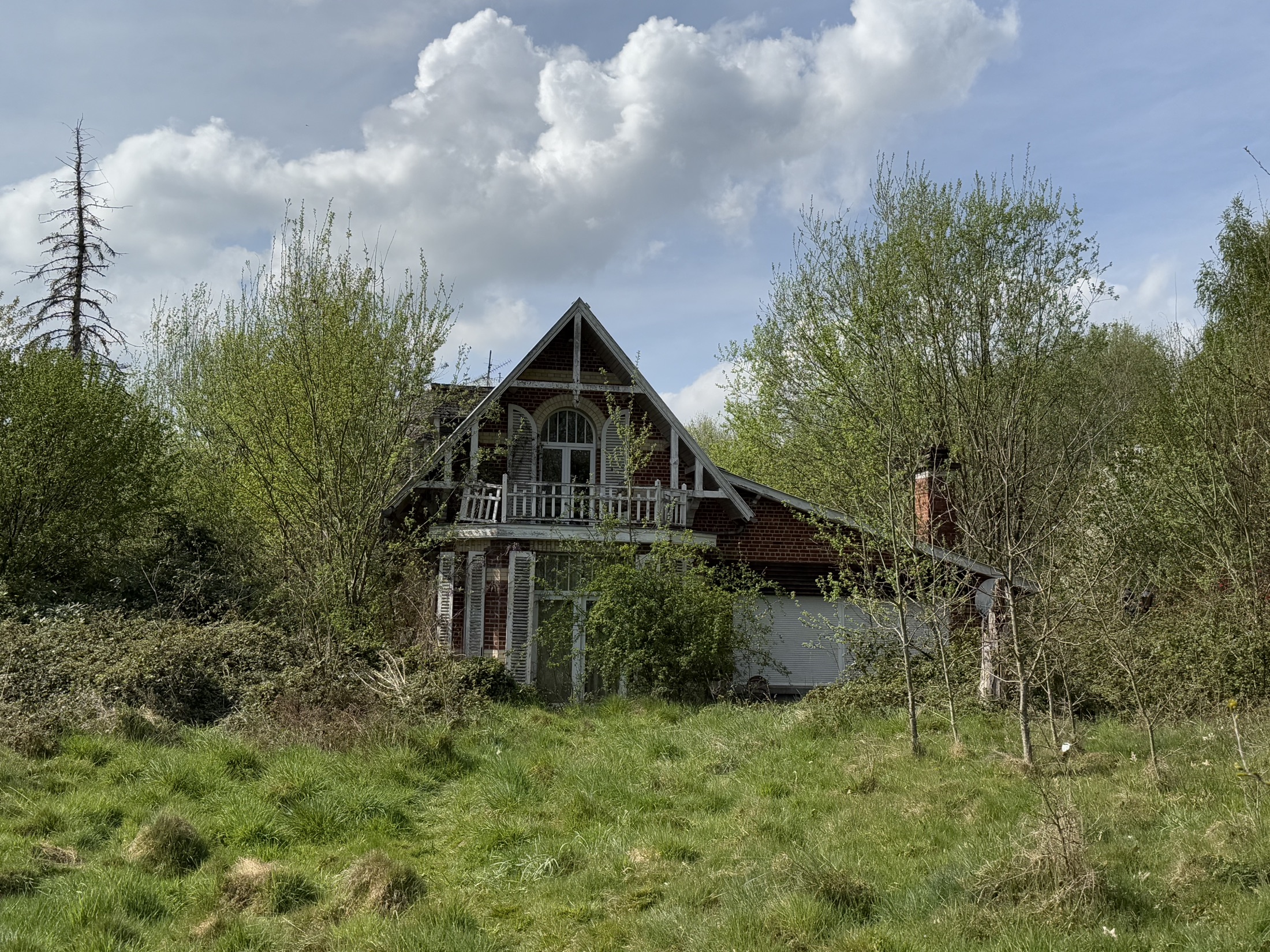 Außenansicht des Anwesens, überwuchert und still unter hellem Himmel